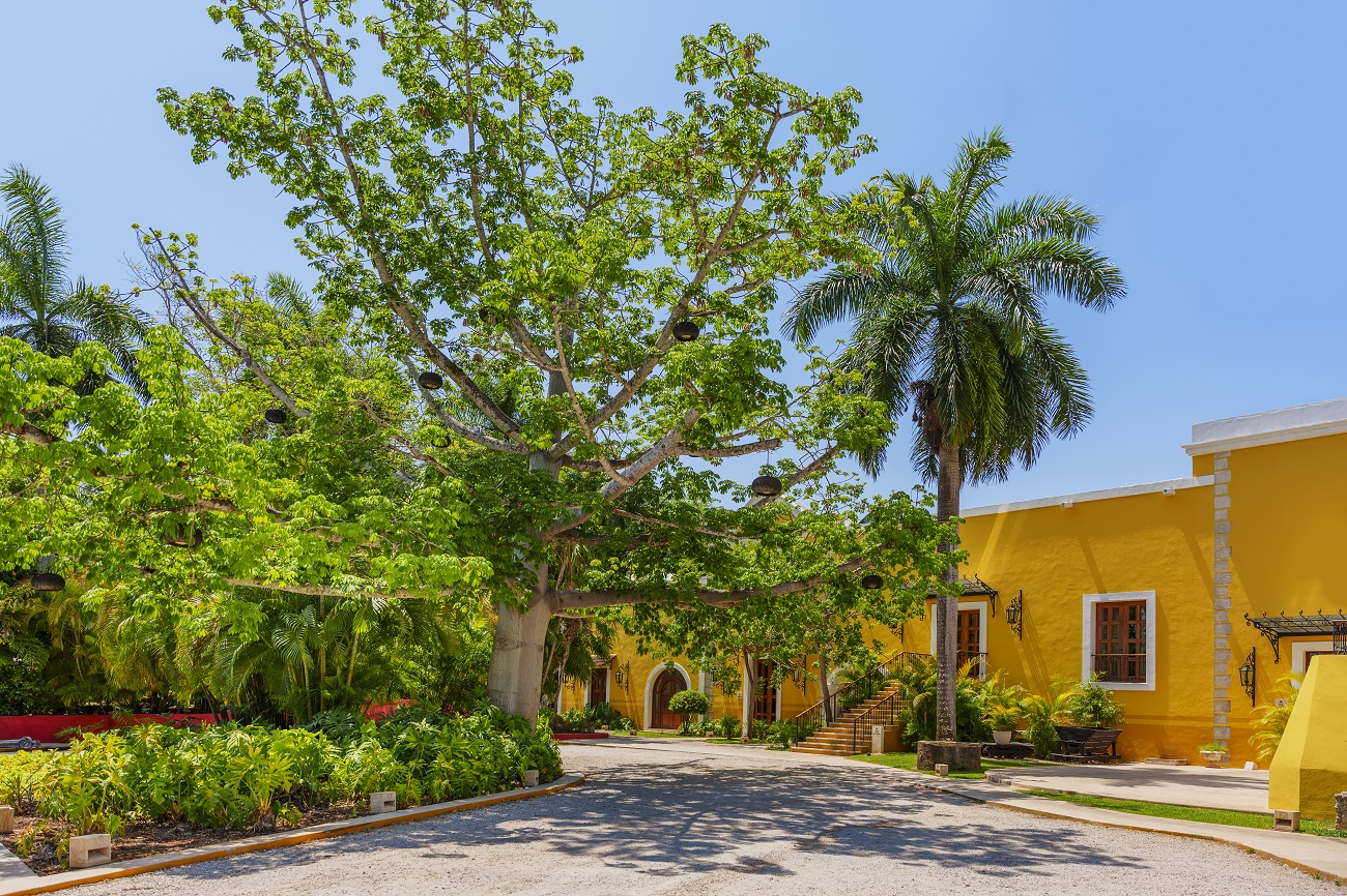 Hacienda Xcanatun lobby arial Merida